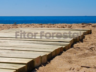 2 pasarela de madera playa enrollable